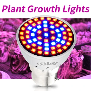 Led Лампа за отглеждане E27 Plant Light E14 Growth Indoor Lamp 48 60 80 Led GU10 Осветление, Пълна Гама от MR16 220V Led Фито-Лампа 240V B22